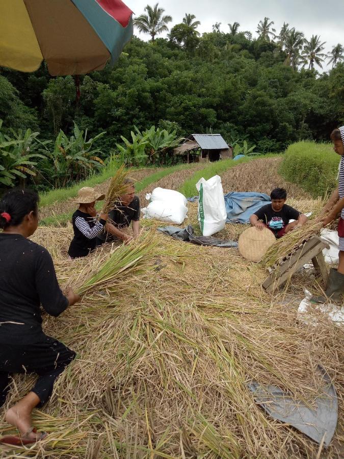 Babahan Farmstay Selemadeg Exterior foto