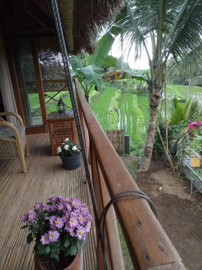 Babahan Farmstay Selemadeg Exterior foto