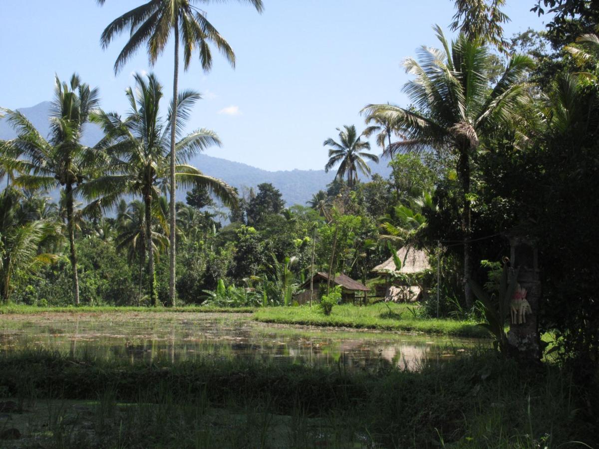 Babahan Farmstay Selemadeg Exterior foto